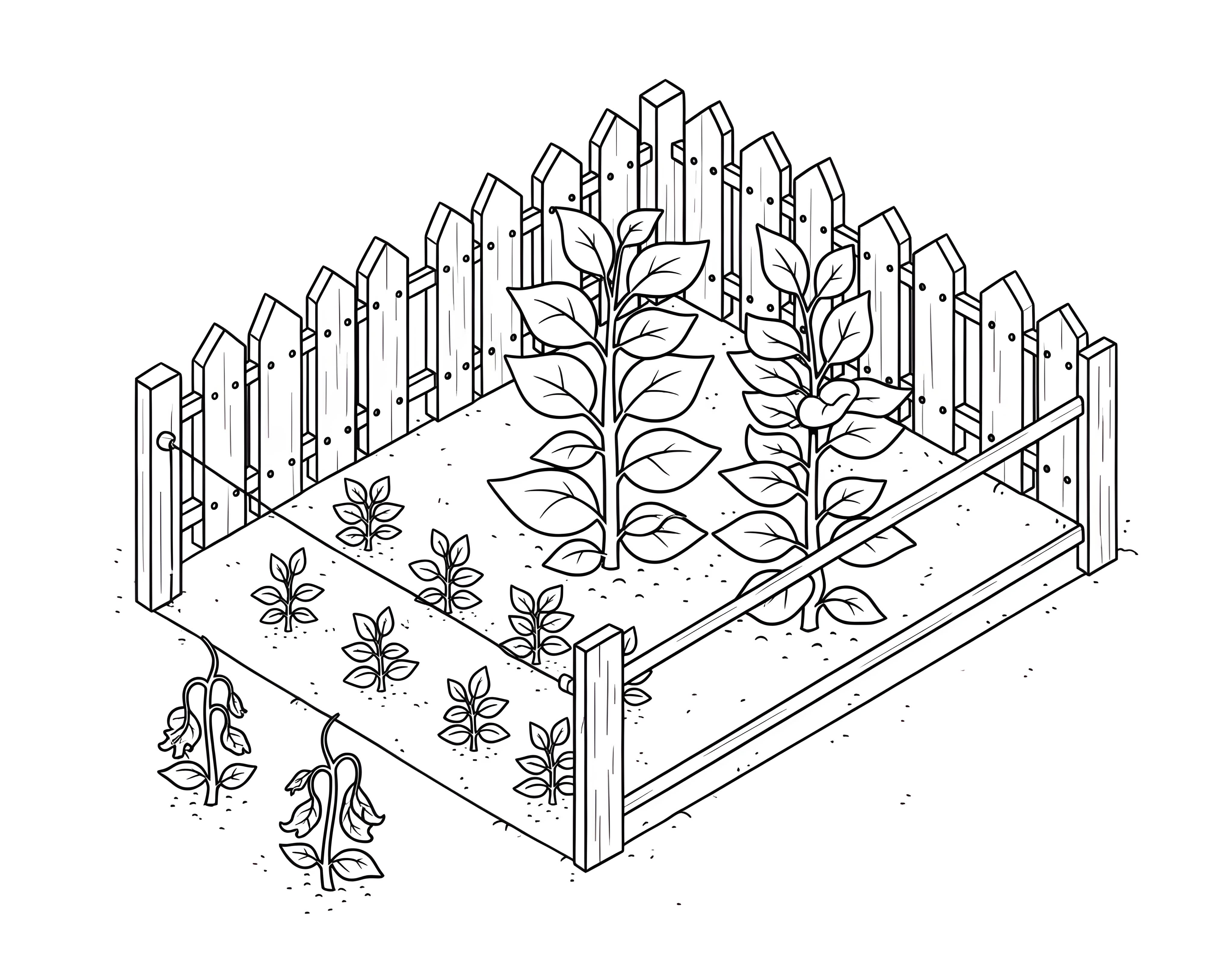 A black and white line drawing of a rectangular garden plot with a wooden fence around it. Inside the fence, two large, healthy plants and several smaller, thriving plants are neatly arranged. Outside the fence, on the left side, two small, withered, and drooping plants are depicted in the dirt. This illustrates the concept of protecting strong elements while acknowledging weaker ones.